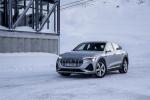 Audi e-tron 55 Quattro Sporback S-Line 2020 года (WW)